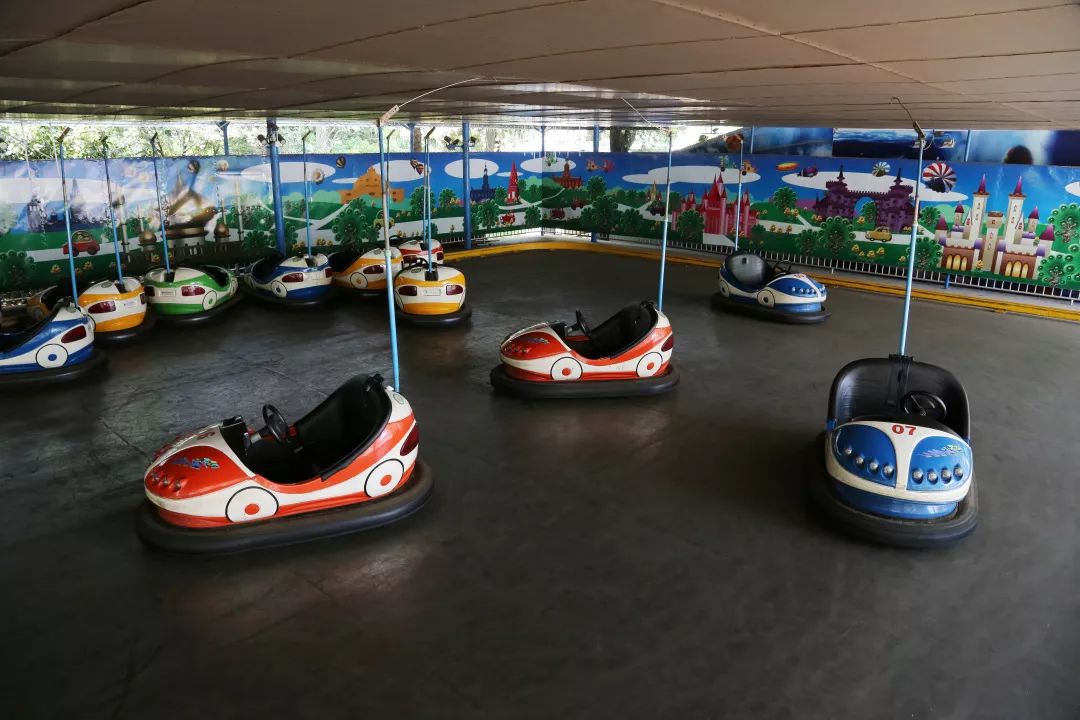 探索丨記得小時候的碰碰車嗎?滬上這12家公園還能玩_價格